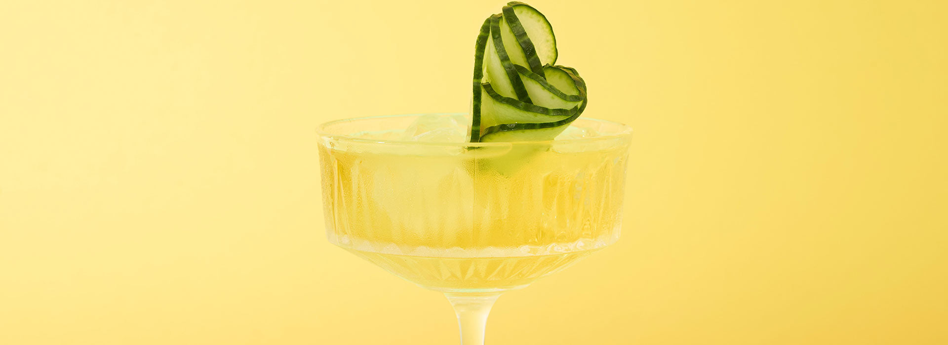 Molly’s Sunny Sencha Fizz | Bird &amp; Blend Tea Co.