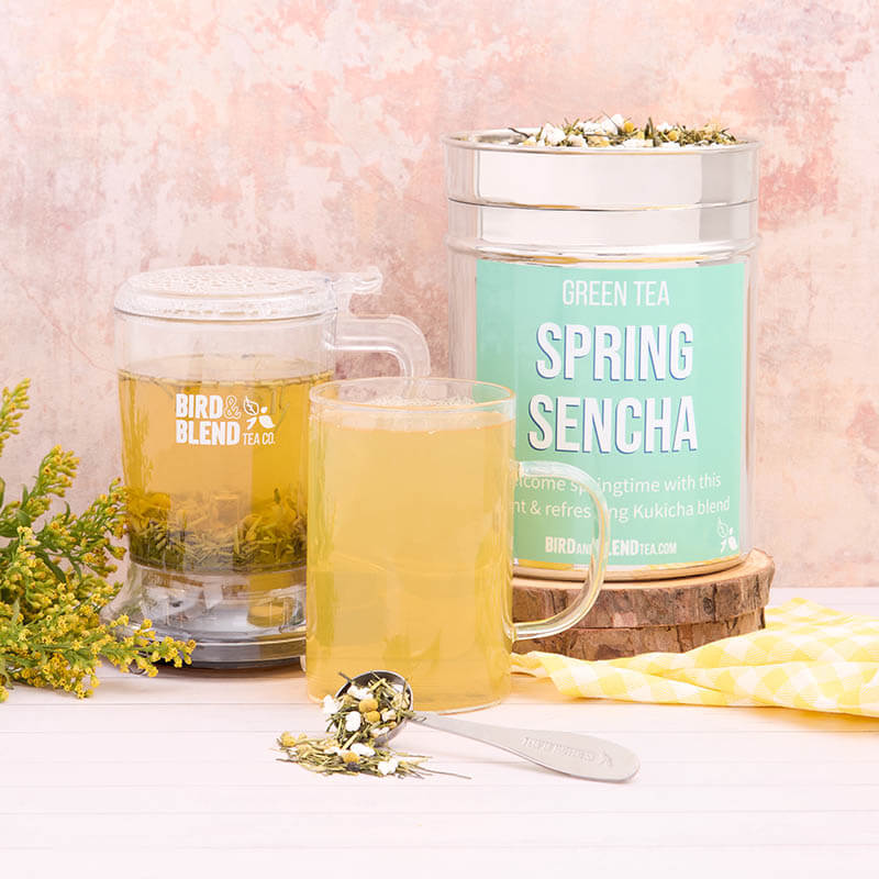 spring sencha hot tea with brewdini, tea spoon and tea tin