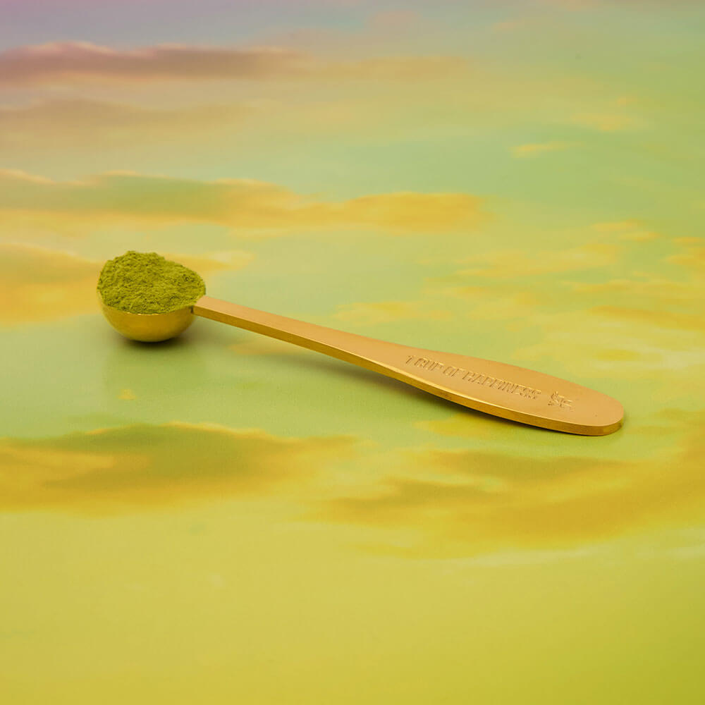 Wicked spellbinding emerald Elphaba golden spoon