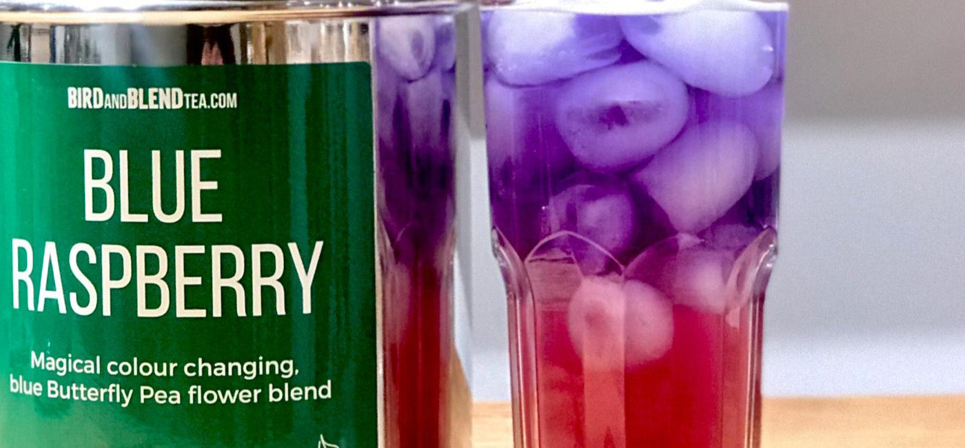 The Unicorn Fizz | Blue Raspberry Tea Recipe | Bird & Blend Tea Co.