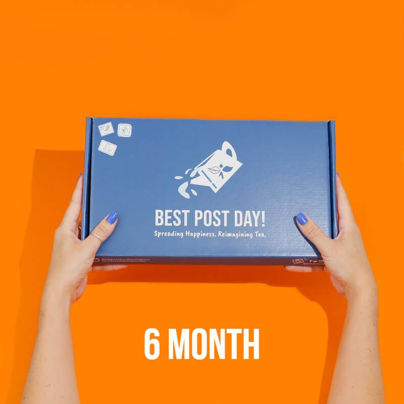 6 month tea tasting club subscription