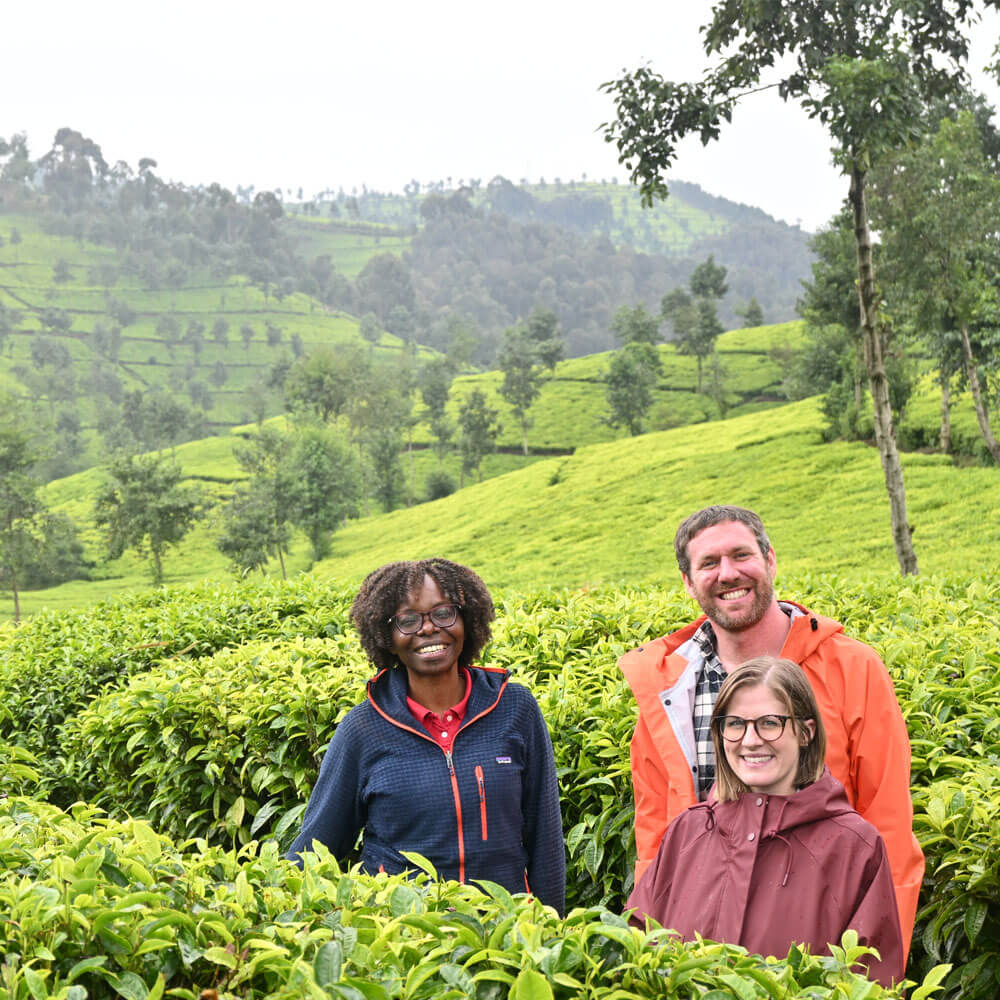  Director of Tea Sourcing Partnerships Joyce, Executive Managing Director & Co-Founder Mike Turner & Catherine Director of Brand Stood in a Tea Field 