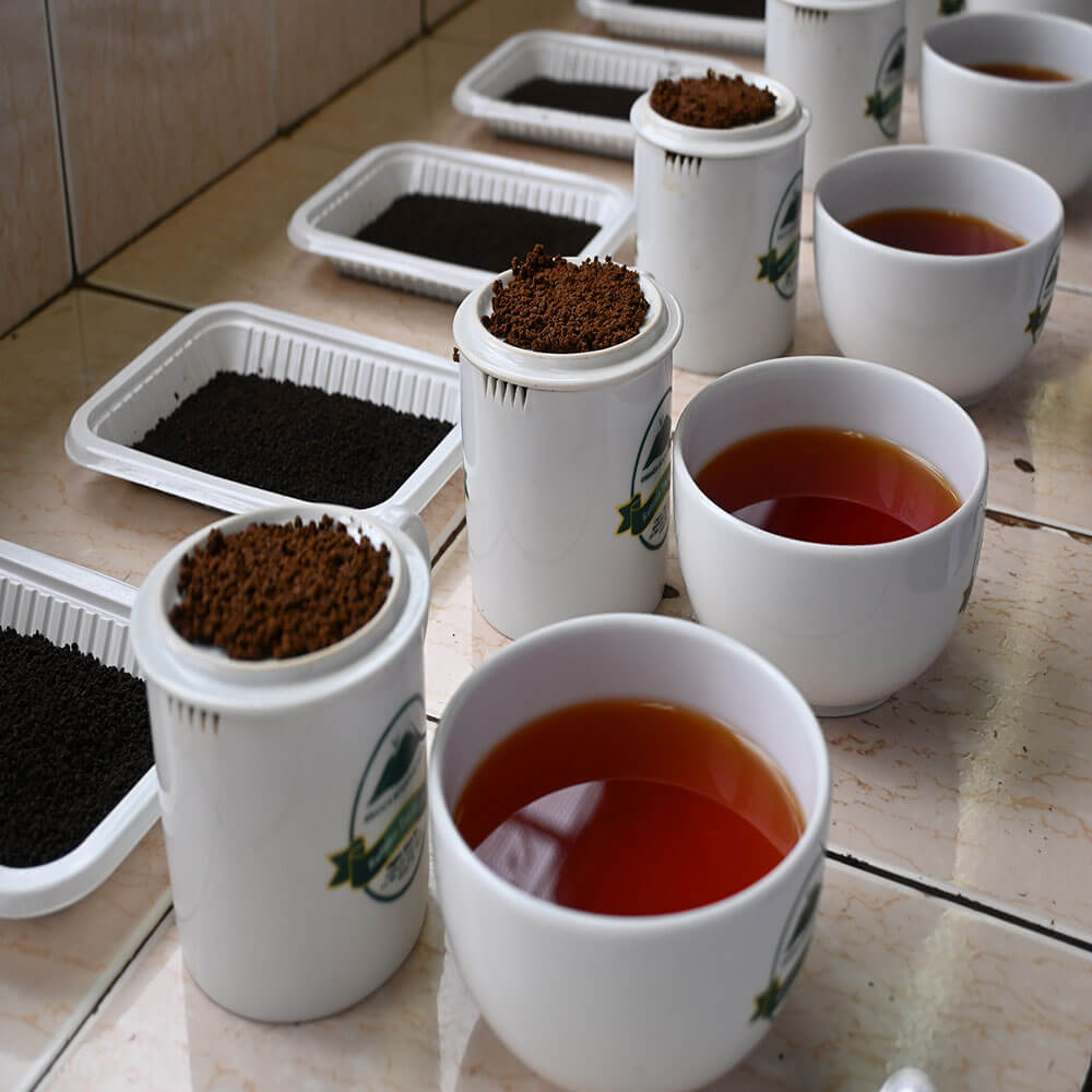 Ground processed tea leafs & tea