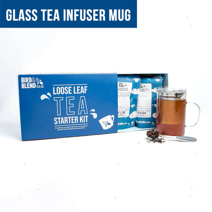Glass infuser mug loose leaf tea starter kit