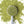 Load image into Gallery viewer, jaffa cake matcha loose leaf tea
