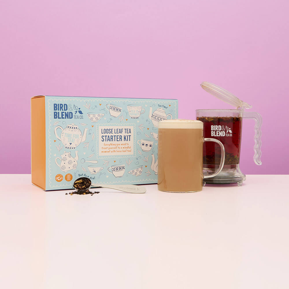 loose leaf starter kit gift with tea tools to choose