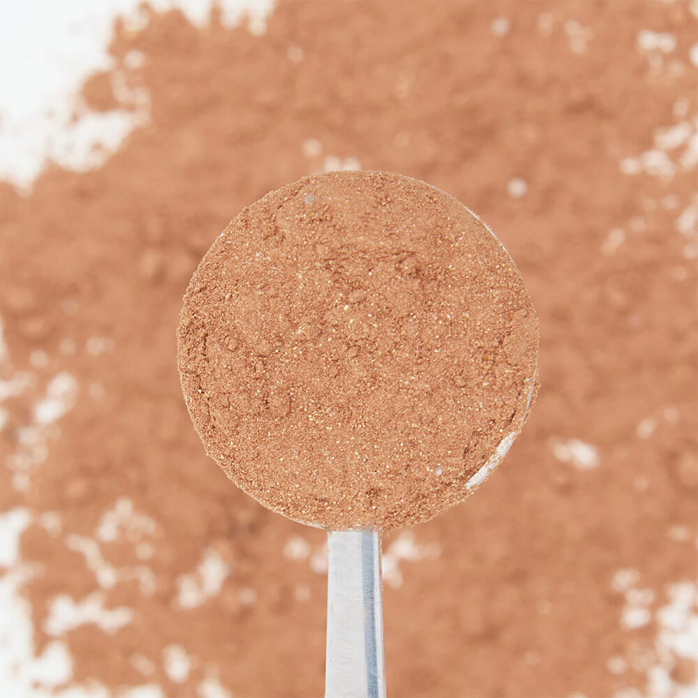 Maca Hot Choc Tea Powder – Bird Blend Tea