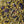 Load image into Gallery viewer, pisces zodiac loose leaf tea
