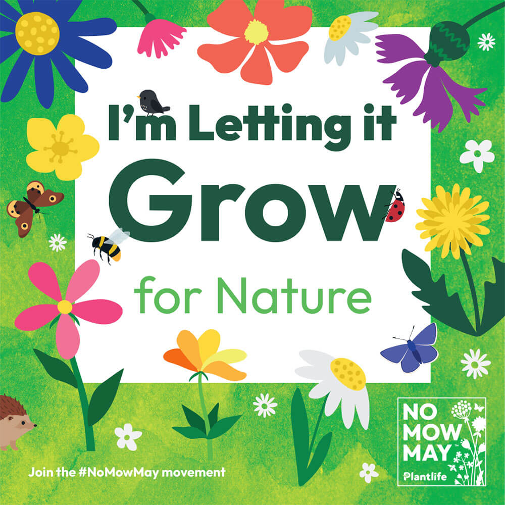 plantlife im letting it grow for nature no mow may movement