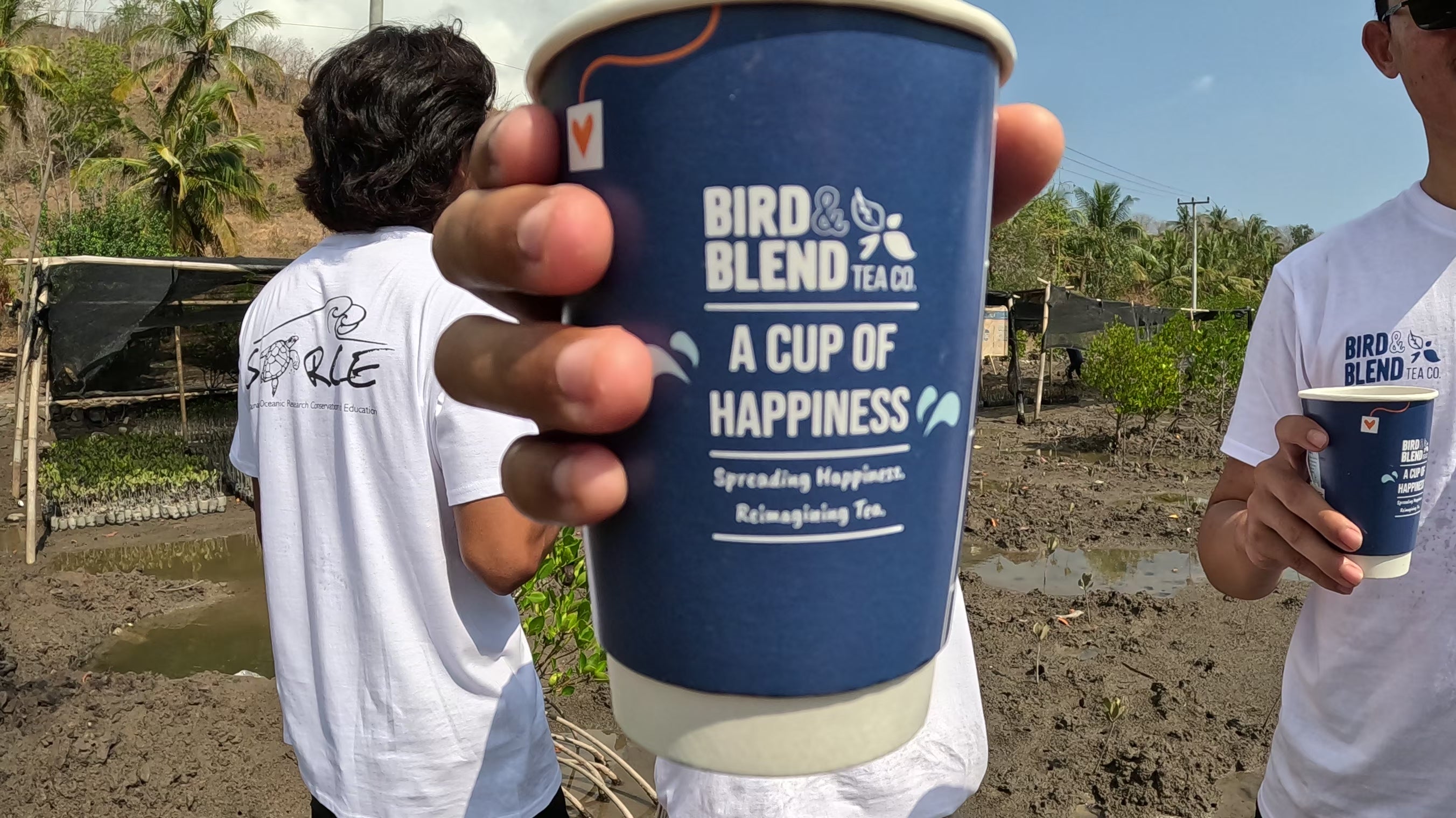 Load video: Tree app in lombok indonesia drinking bird &amp; Blend tea co tea out of our takeaway cups.