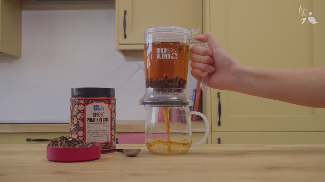 How to make chai in a brewdini tea gravity steeper with a lass mug and spiced pumpkin chai loose leaf black tea in 150g gift tin.