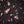 Load image into Gallery viewer, rose and cardamom chai blend
