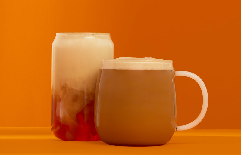  spiced pumpkin chai hot & iced chai latte blog recipe 