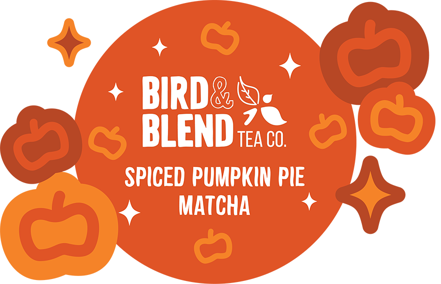 spiced pumpkin pie digital matcha tin flavour profile