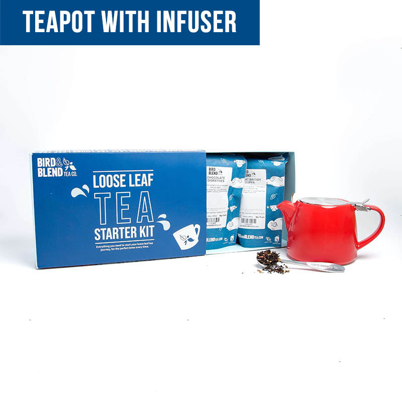 Teapot with infuser loose leaf tea starter kit