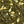 Load image into Gallery viewer, Jasmine poached pears loose leaf tea
