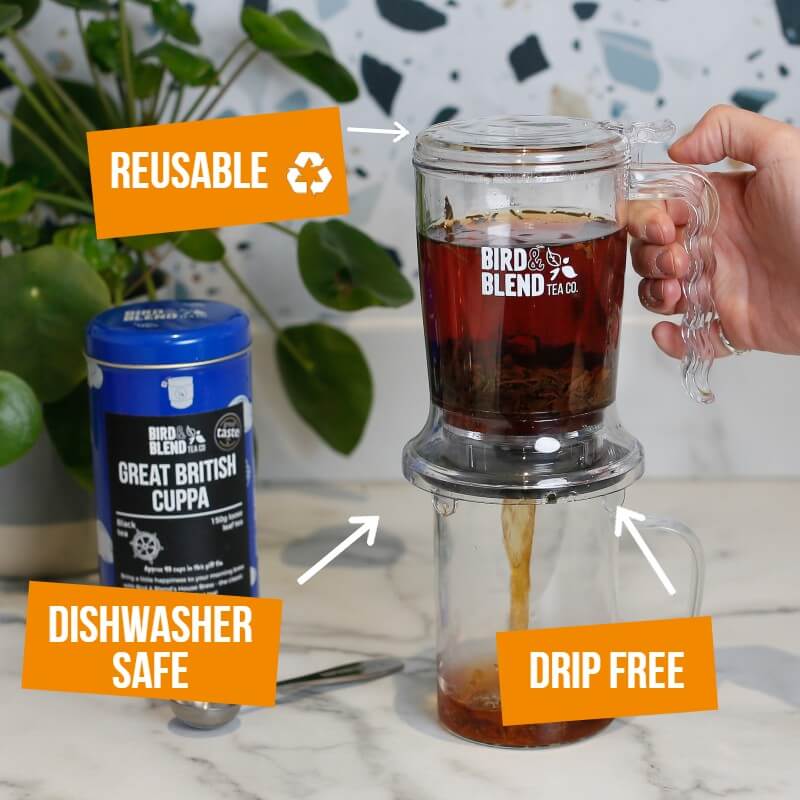 Brewdini loose leaf tea drip free infuser