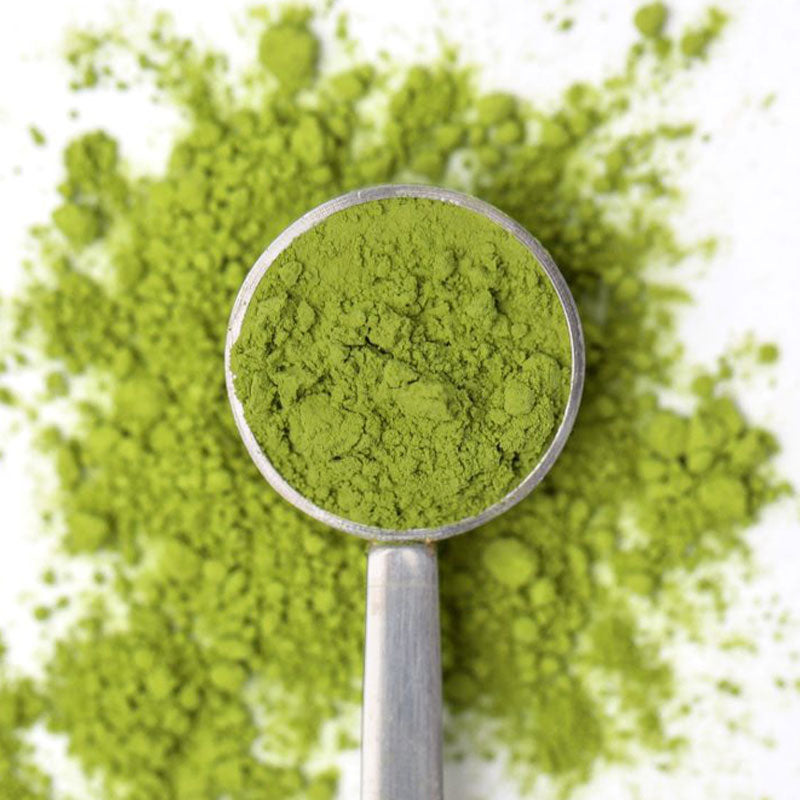 gingernut matcha powder