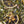 Load image into Gallery viewer, mojitea loose leaf green mint tea
