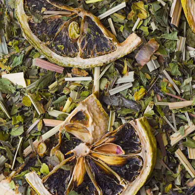 mojitea loose leaf green mint tea